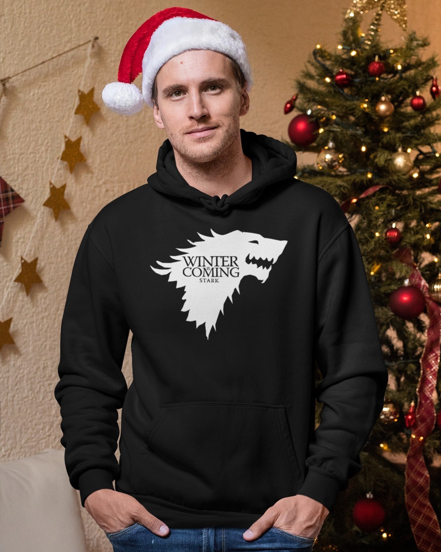 Winter is Coming (Hoodie)